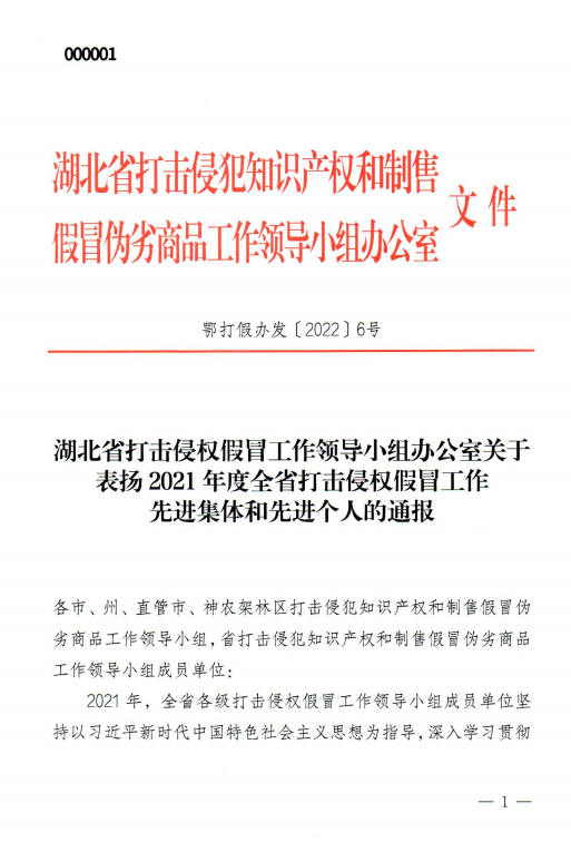 全省打击侵权假冒工作先进集体.png